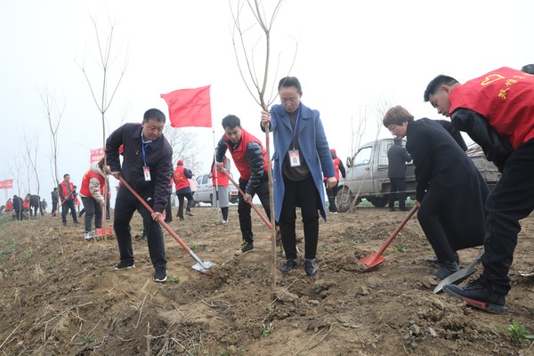 双堆植树图片.jpg