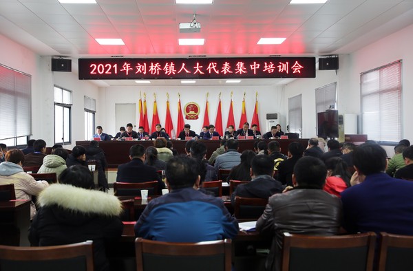 刘桥镇集中培训.jpg